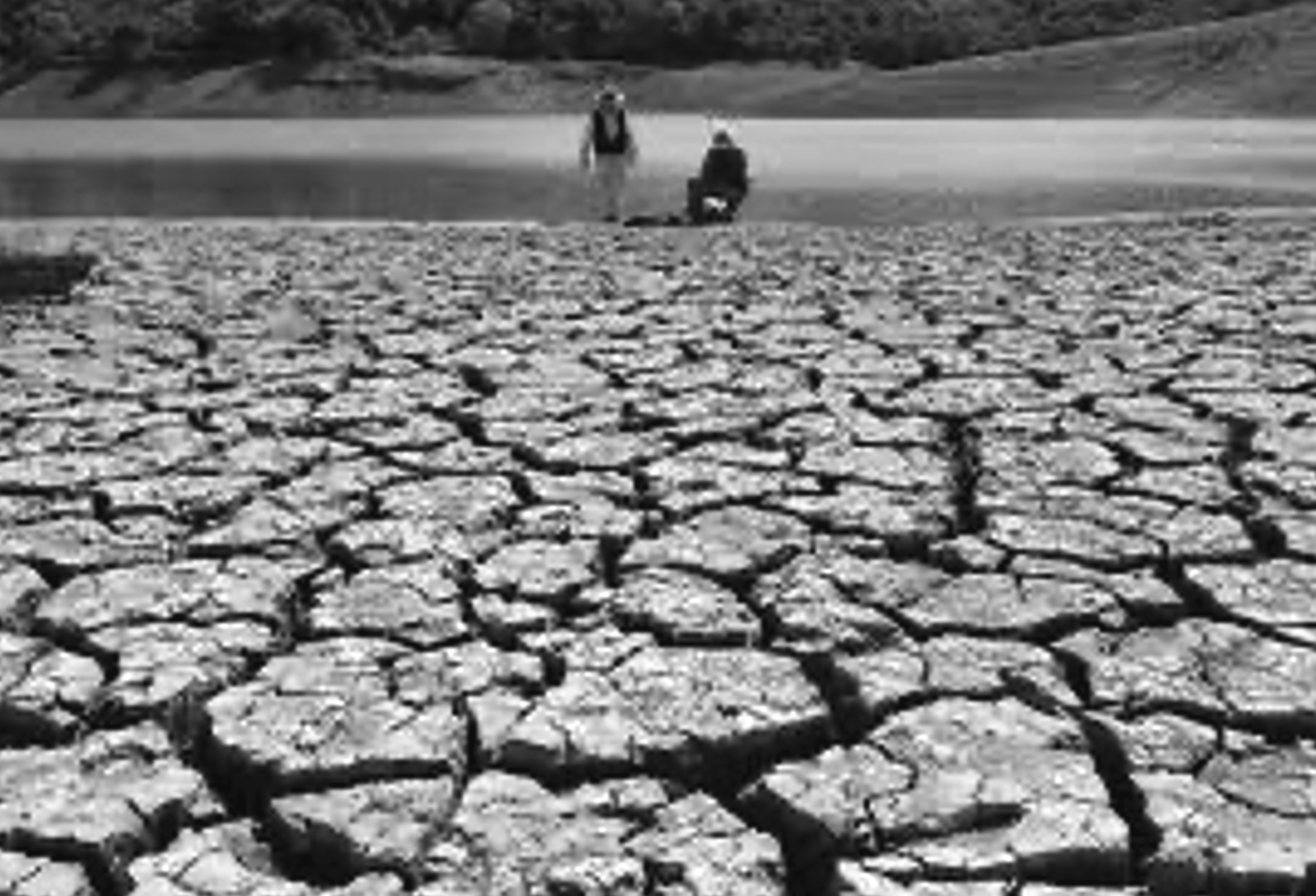 Read more about the article ΕΞΟΜΟΛΟΓΗΣΕΙΣ ΜΙΑΣ ΑΓΑΝΑΚΤΙΣΜΕΝΗΣ