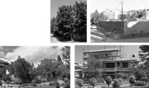 Read more about the article ΝΟΚ ΑΟΥΤ ΤΟ ΠΡΑΣΙΝΟ ΣΤΑ ΒΟΡΕΙΑ ΠΡΟΑΣΤΙΑ