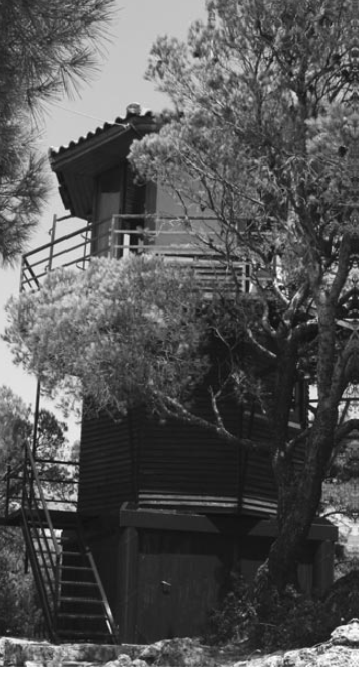 Read more about the article ΒΑΡΔΙΑ